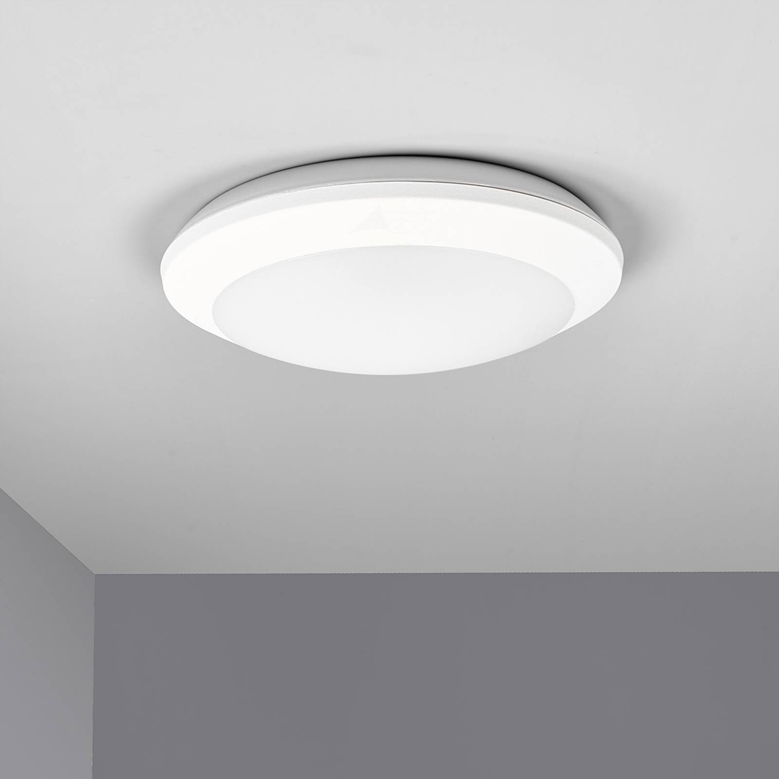 LED-taklampa Umberta sensor vit, CCT