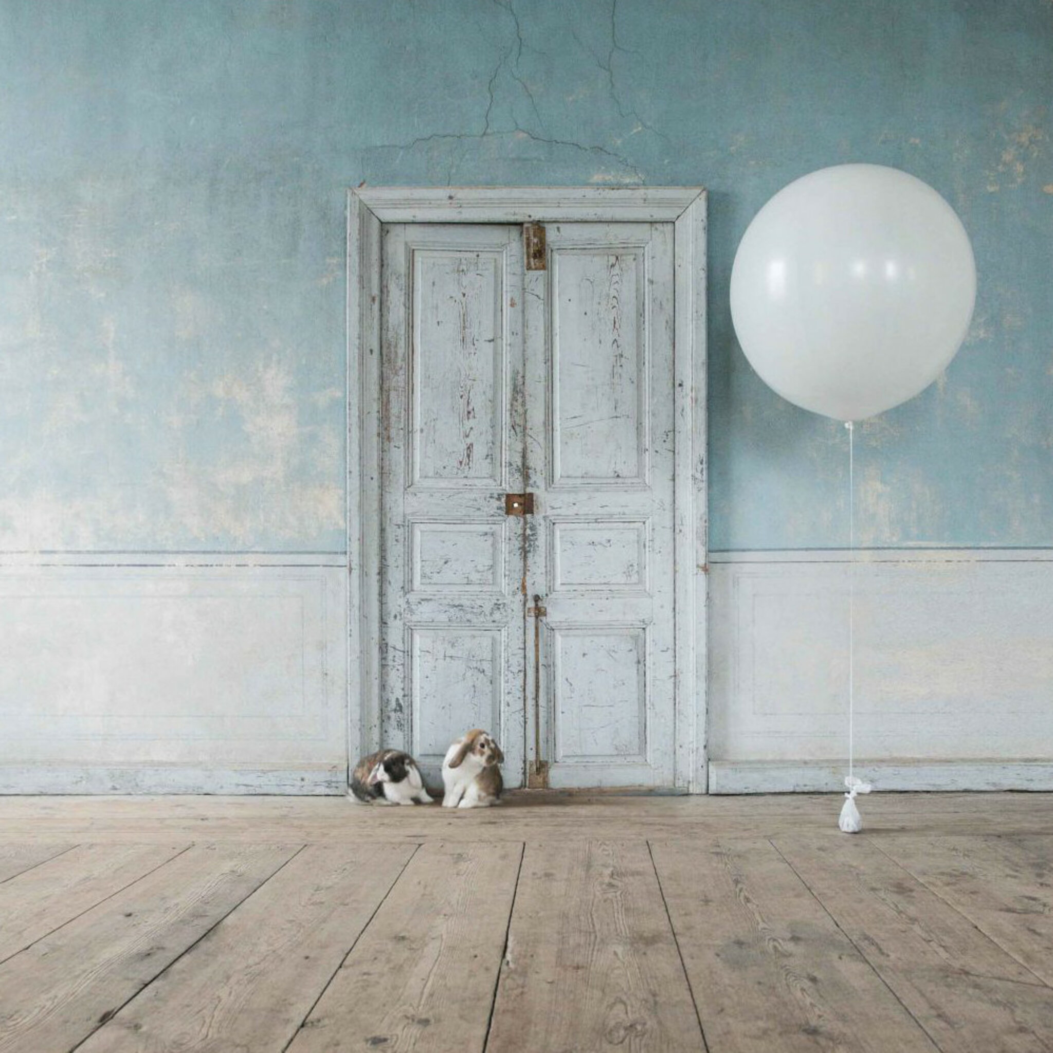 Bunny Rabbits And Ballon Poster
