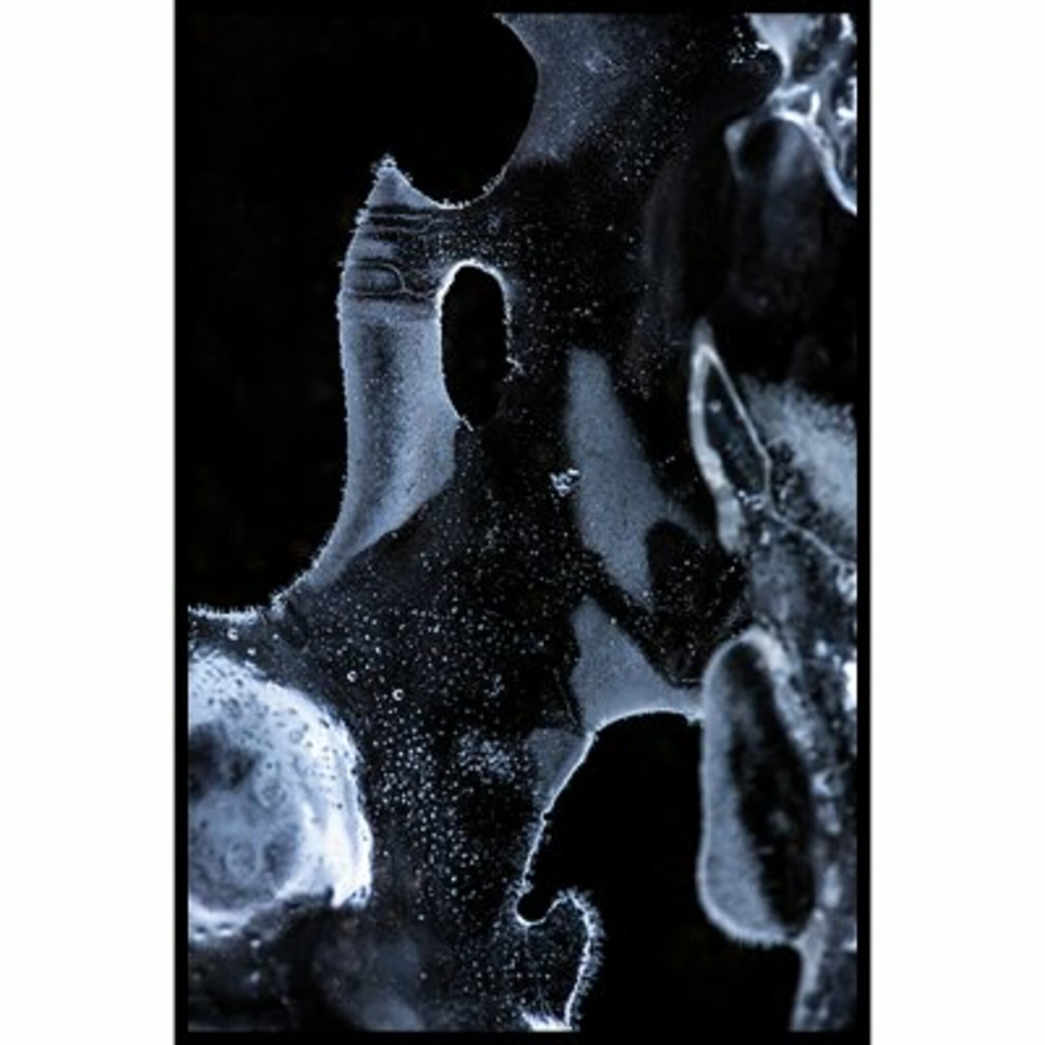 Macro Ll Poster