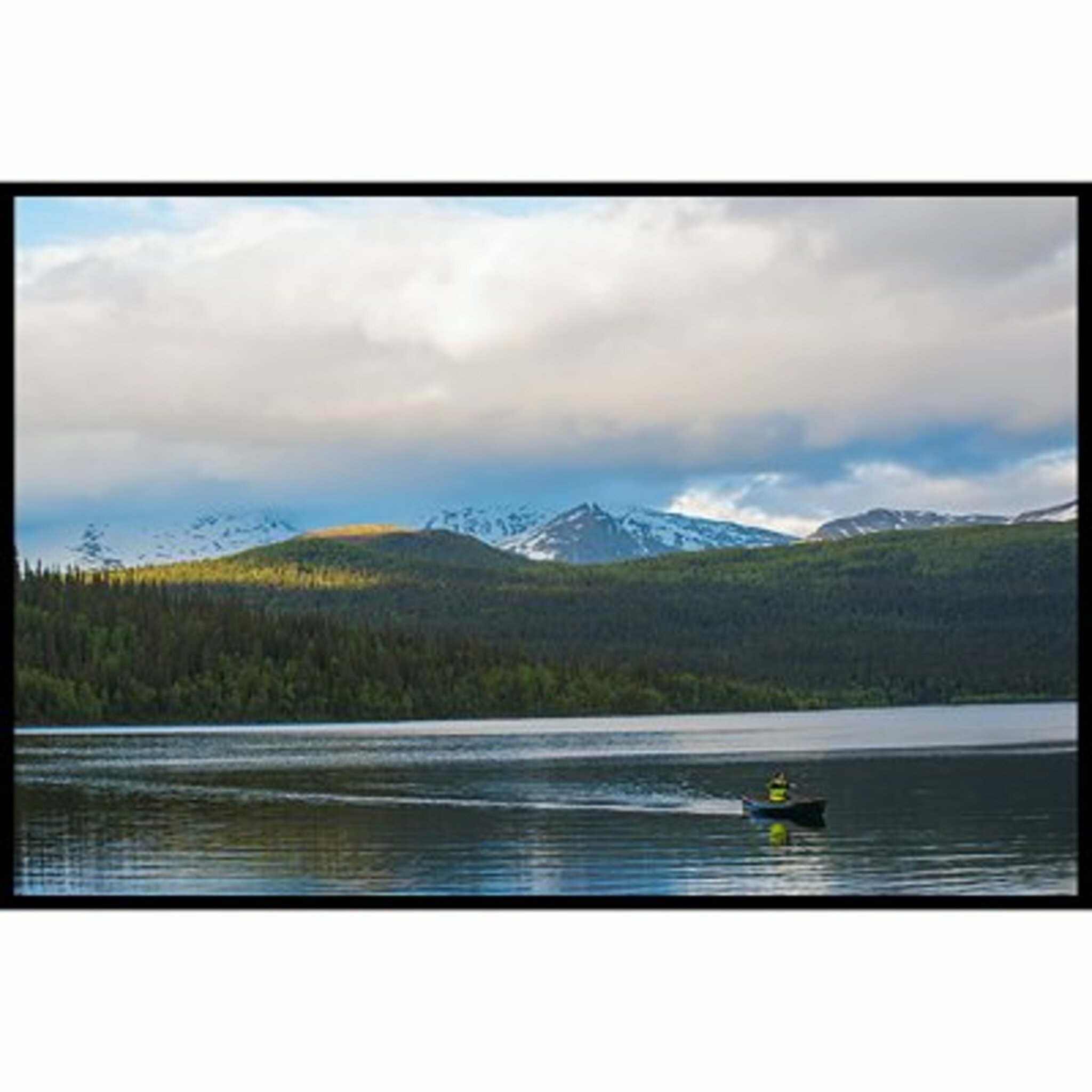 Lonely Canoe Poster