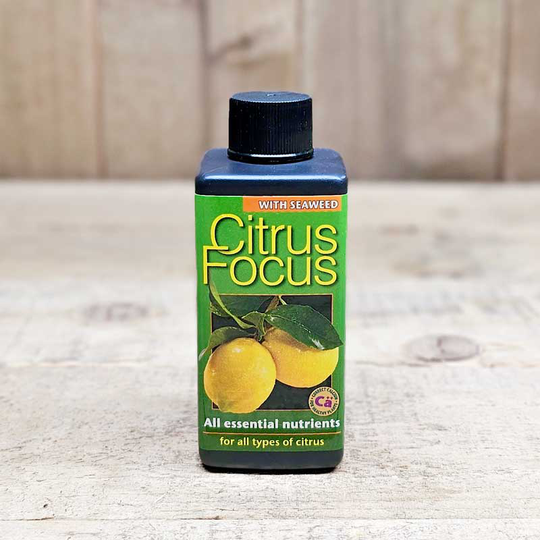 Citrusnäring Citrus Focus, 100 ml