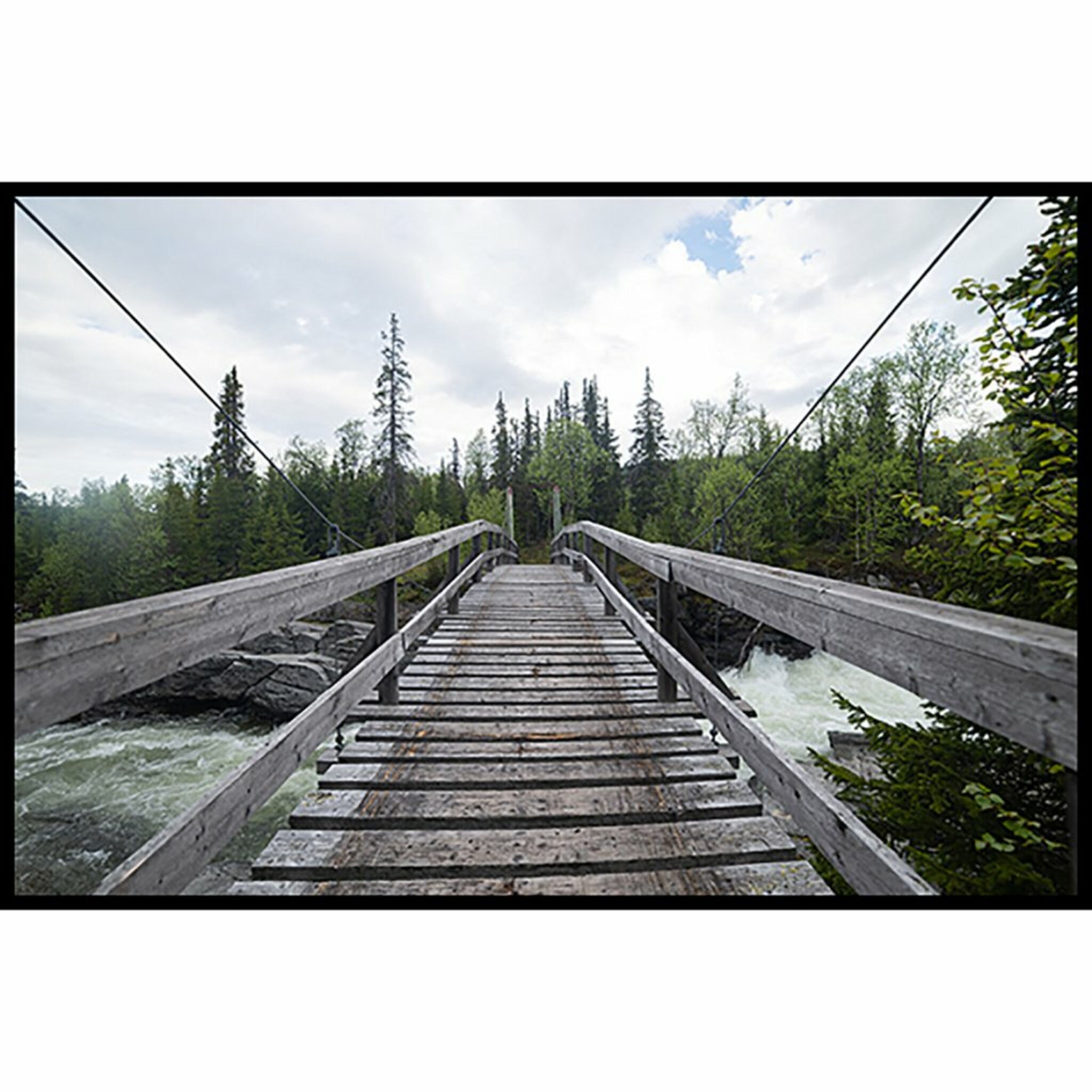 Brigde Into The Woods Poster