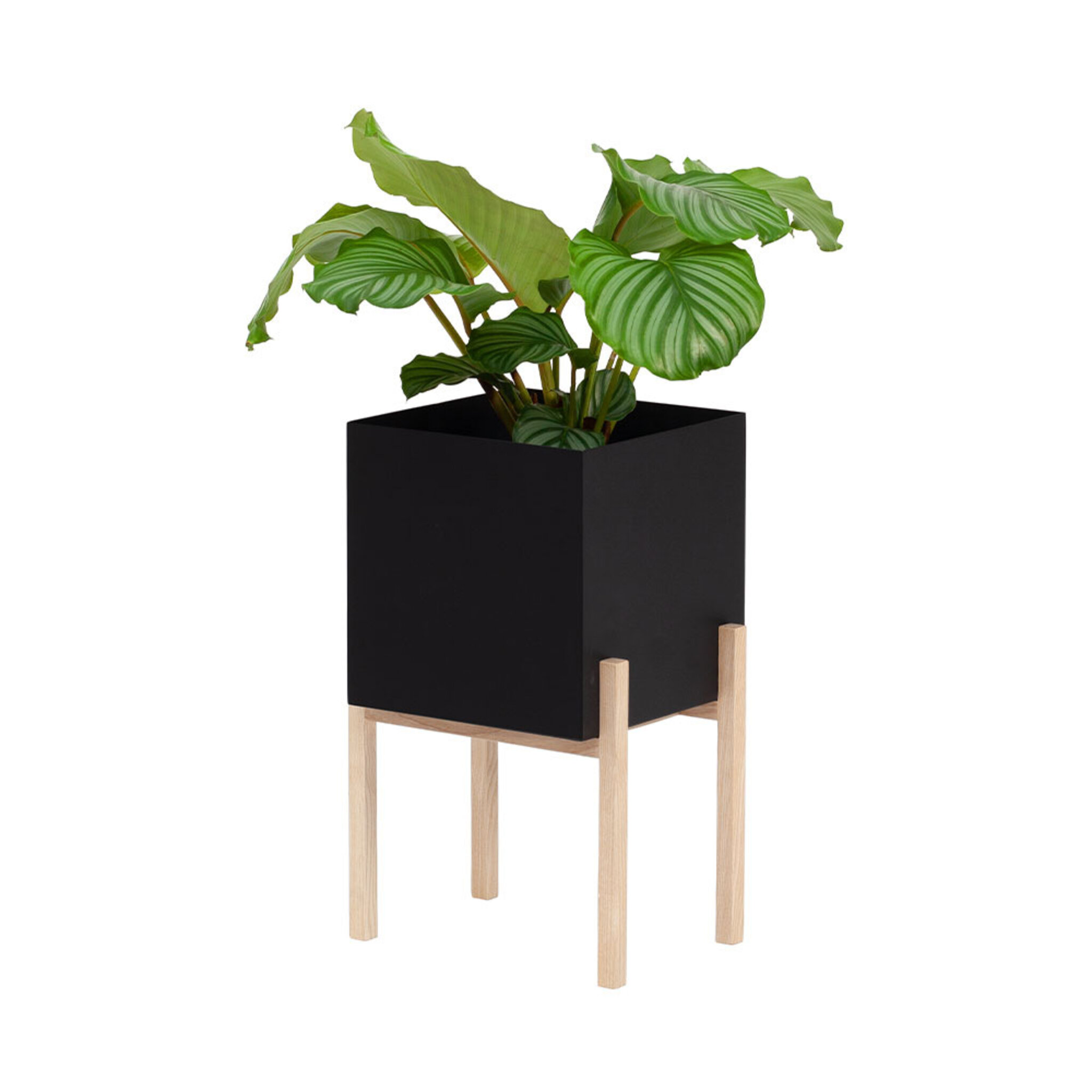 Botanic Pedestal, 30x35x40