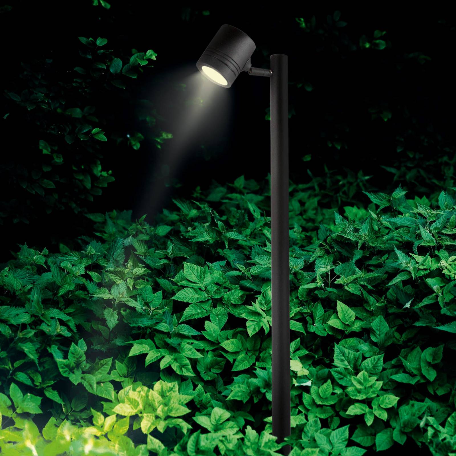 Markspettspotlight Borneo 1 lampa, inställbar