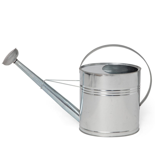 Vattenkanna Zink 10L