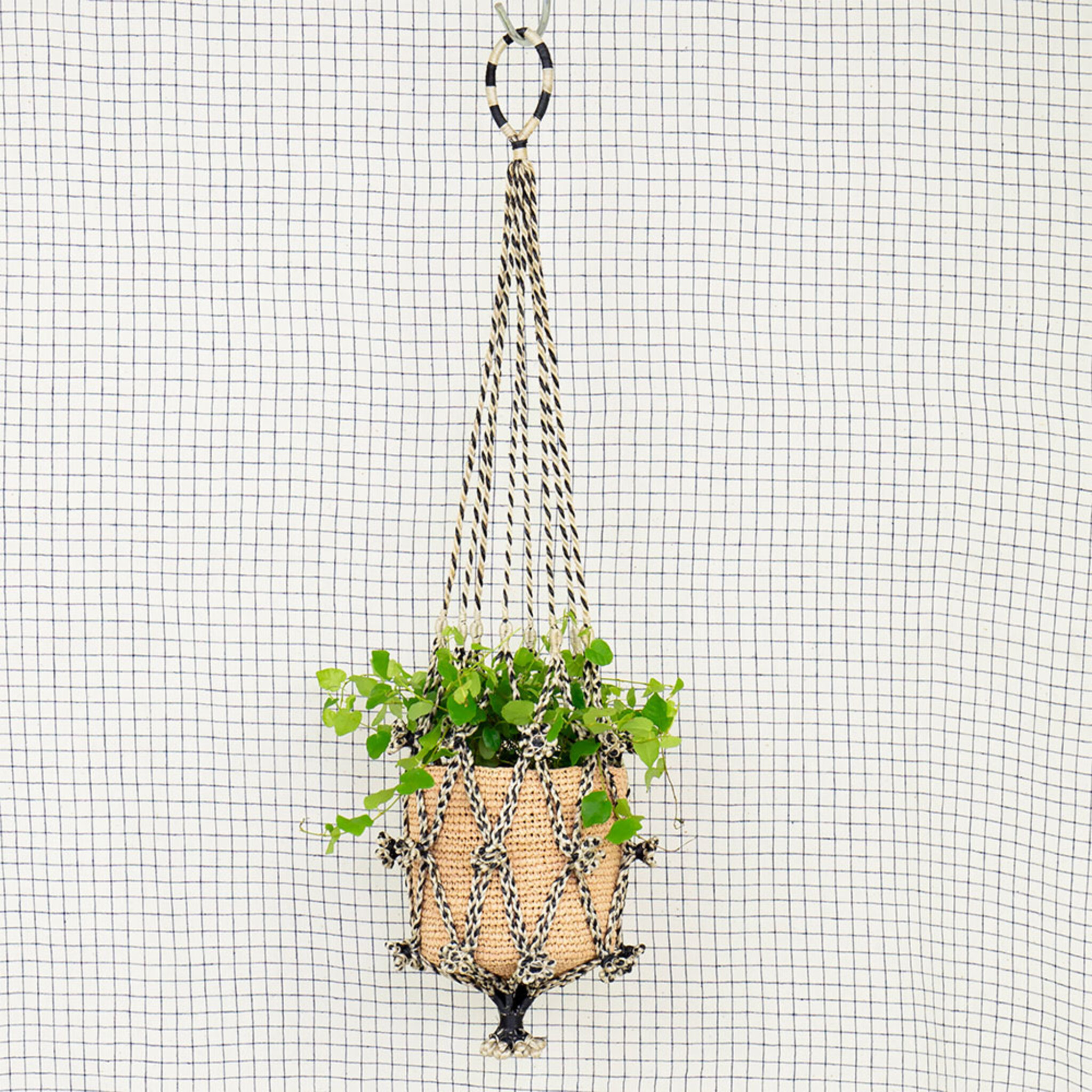 Ampel Jute