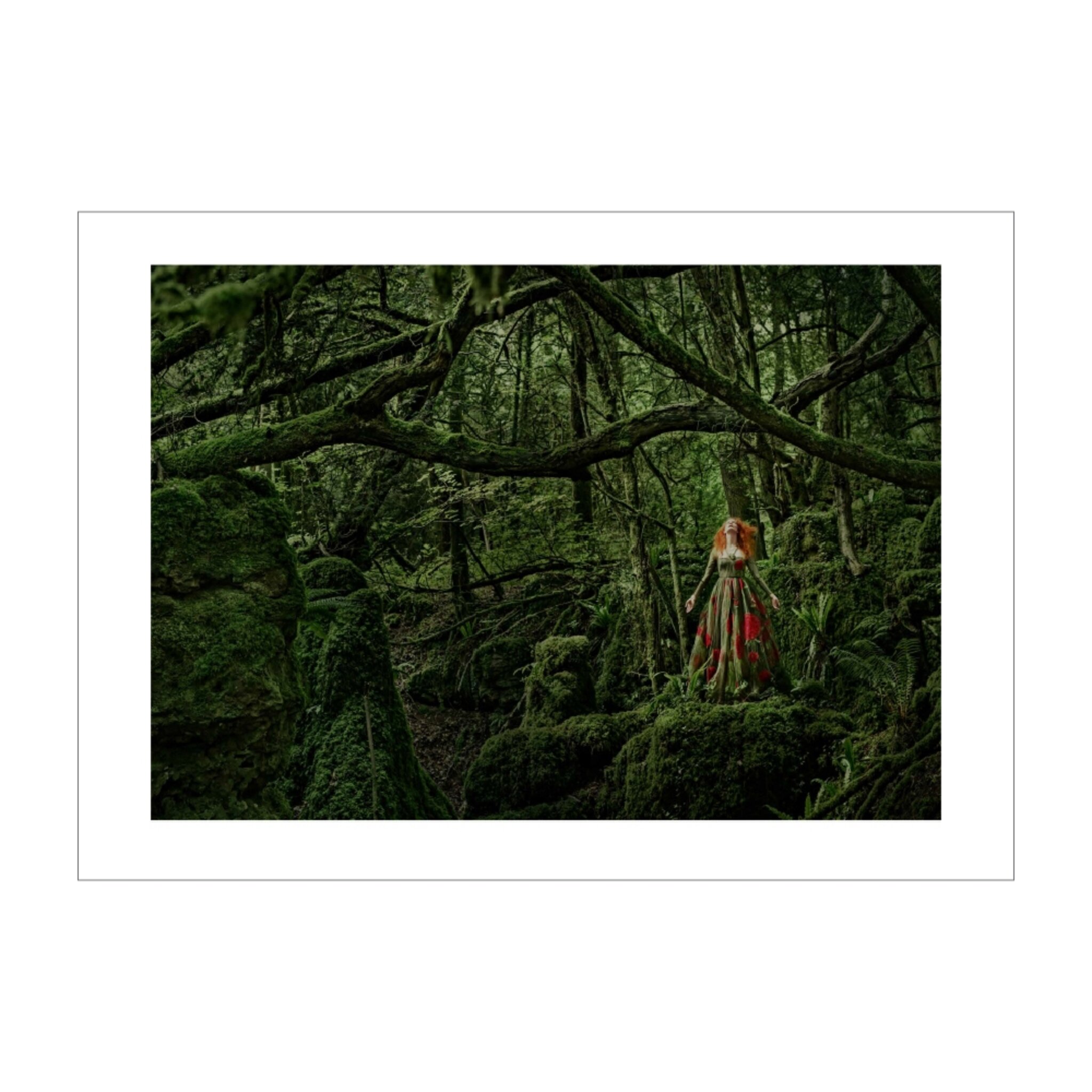 Green Forest