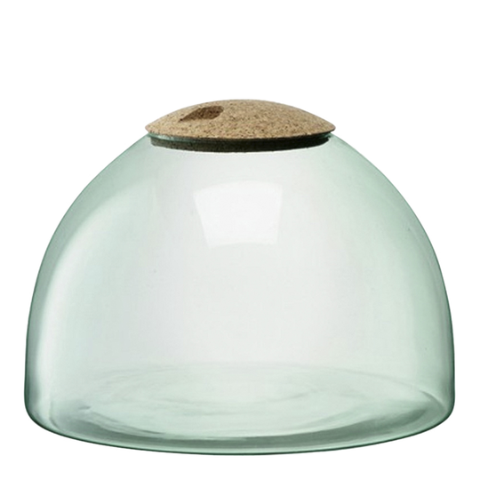 LSA INTERNATIONAL - Canopy Terrarium 22 cm