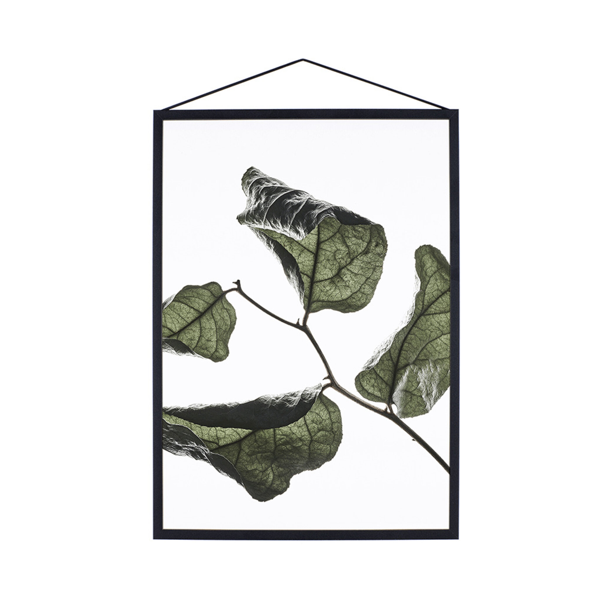 Print Floating Leaves No. 3, A4, A4