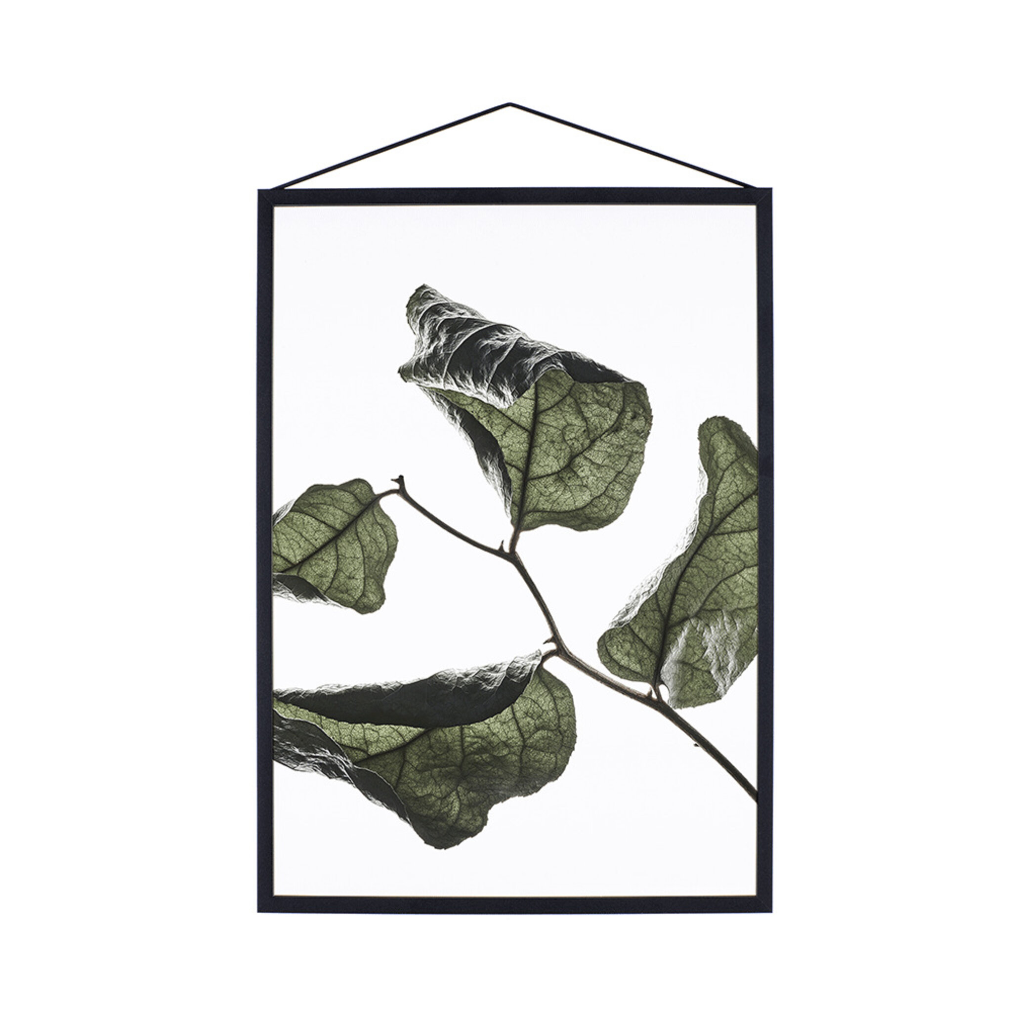 Print Floating Leaves No. 3, A3, A3
