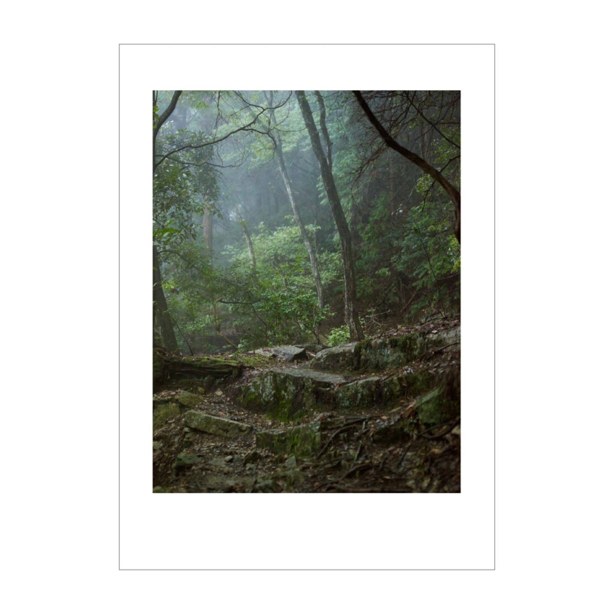 The Walk #1
