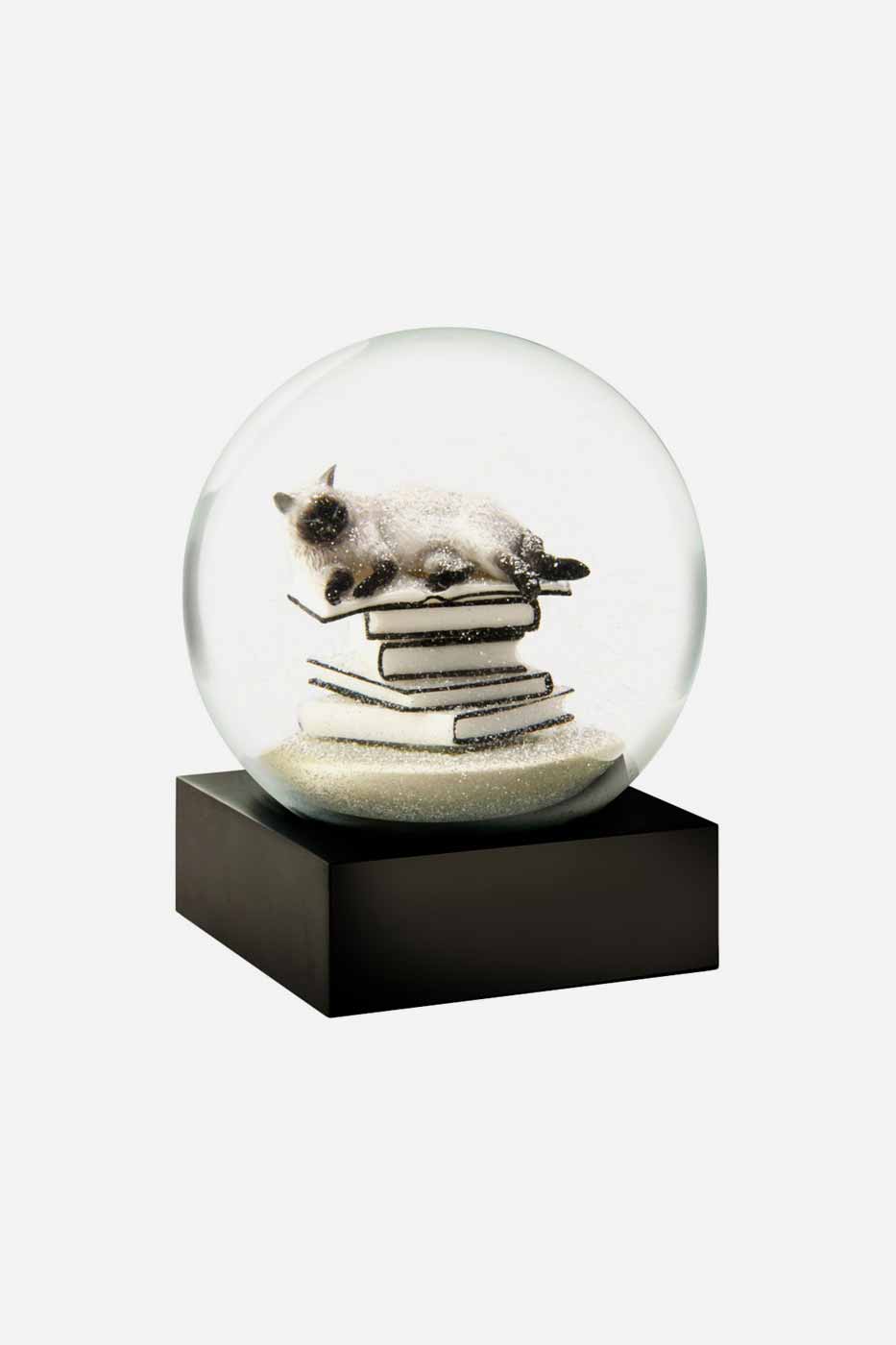 Dekoration Snöglob Cat on Books white