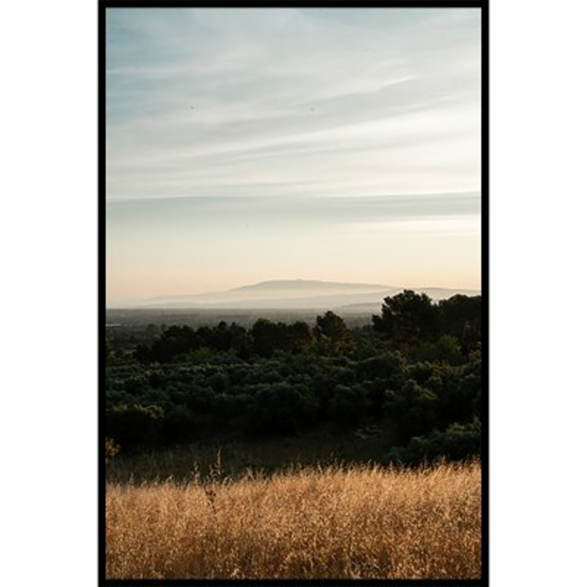 Provence View Poster