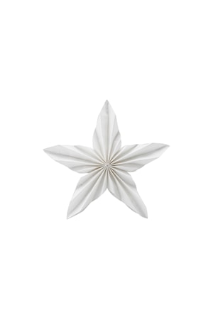 Ornament Star 25 cm Vit